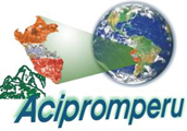 Capacitaci�n Virtual Acipromperu
